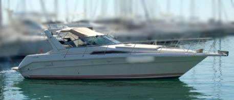 Sea ray Sea ray 310