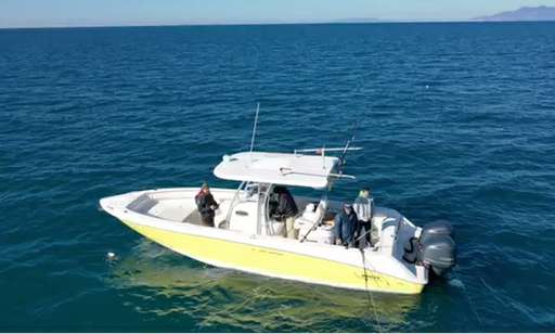 Boston Whaler Boston Whaler Outrage 320