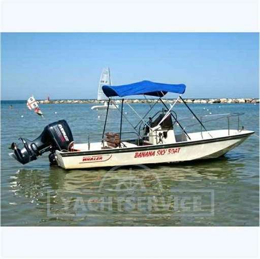 Boston Boston Whaler montauk 17