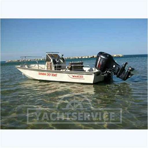 Boston Boston Whaler montauk 17