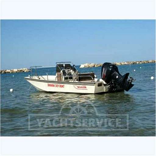 Boston Boston Whaler montauk 17