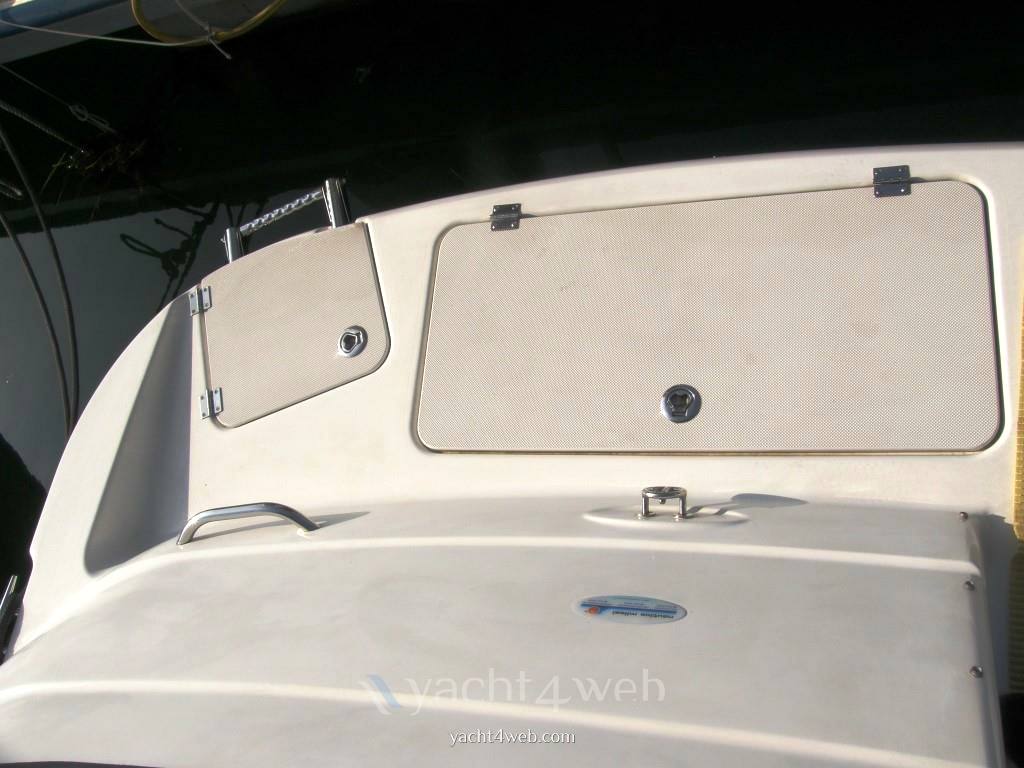 Glastron Gs 259
