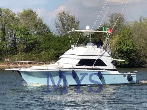 Bertram Yacht Bertram Yacht 37' Convertible