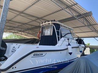 Boston Whaler 255 conquest