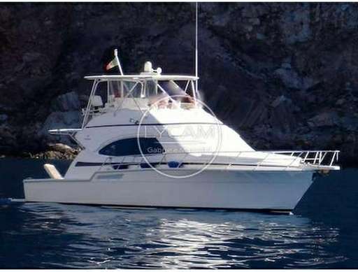 Bertram yacht Bertram yacht Bertram 450 convertible