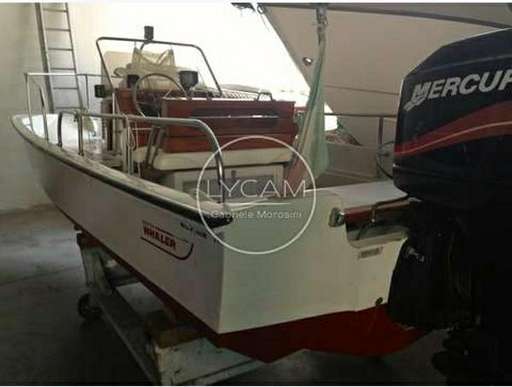 Boston whaler Boston whaler 17 montauk