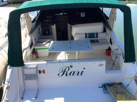 Sea ray Sea ray 310 sundacer