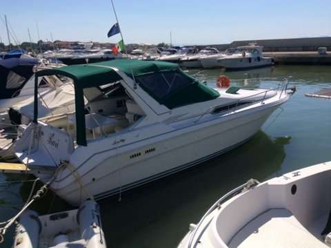 Sea ray Sea ray 310 sundacer