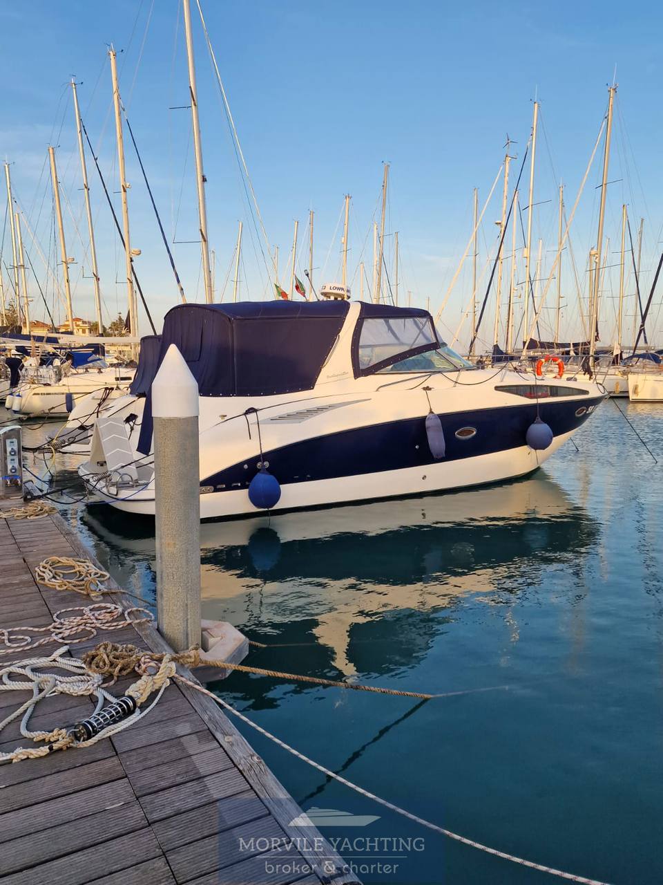 Bayliner 34 open Barco de motor usado para venta