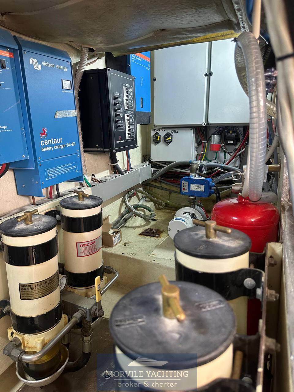 Mochi craft Dolphin 51 Foto