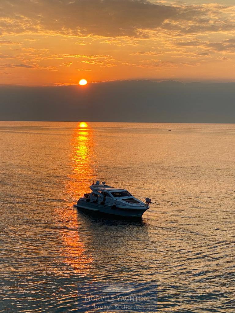 Dellapasqua Dc 16 elite Foto