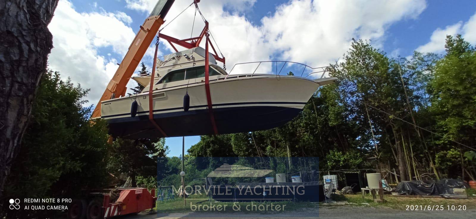 Bertram 32 carribean bateau à moteur