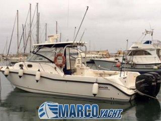 Boston Whaler 305 conquest USATA