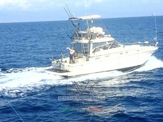 Cayman Yachts 40 tuna tower walk around