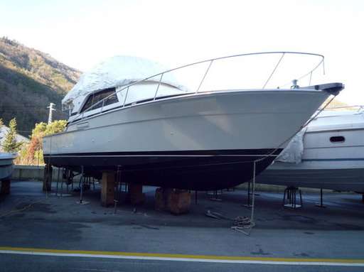 Bertram Bertram 37 fly cruiser