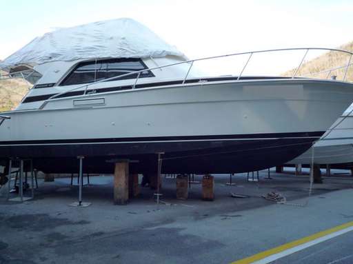 Bertram Bertram 37 fly cruiser