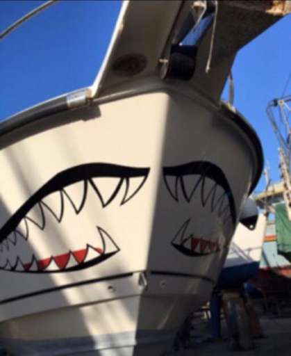 Boston Whaler Boston Whaler 305 conquest