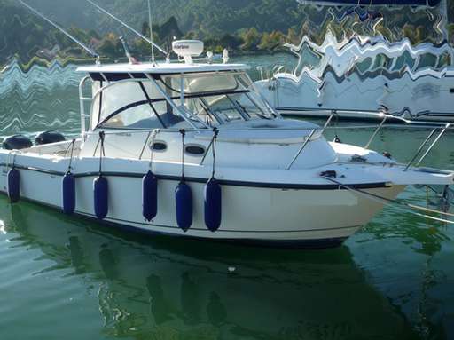 Boston whaler Boston whaler 305 conquest