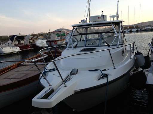 Boston whaler Boston whaler 305