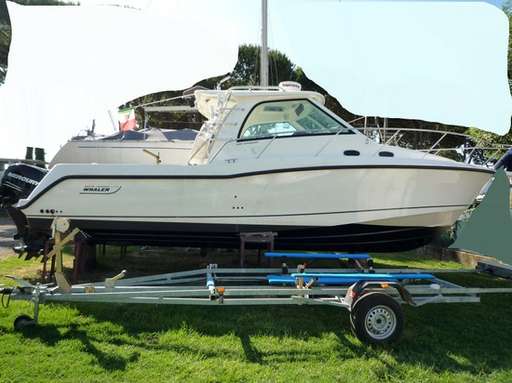 Boston whaler Boston whaler 345 conquest