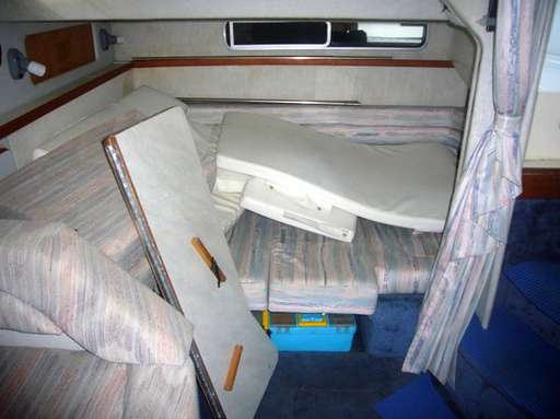 Sea ray Sea ray 310 da