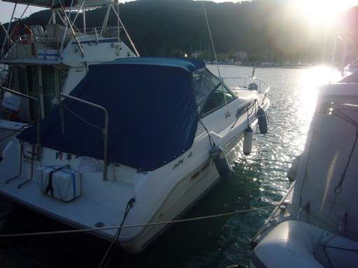 Sea ray Sea ray 310 da