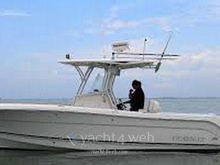 Robalo Robalo r 300 USATA