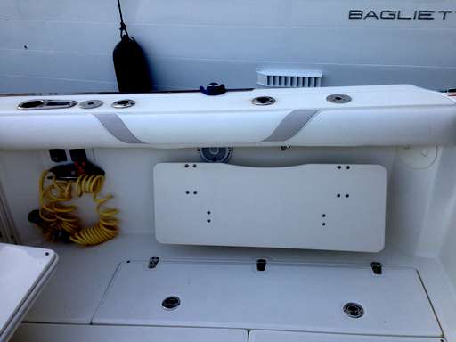 Boston Whaler Boston Whaler B w conquest 305