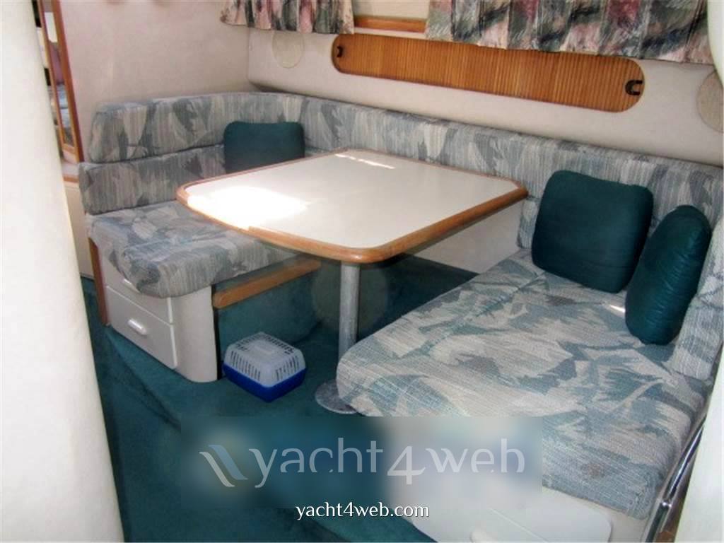 Sea ray boats 290 sundancer