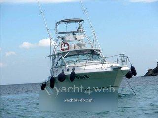 Wellcraft 330 coastal