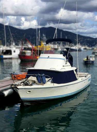 Bertram Bertram 31 sport fisherman