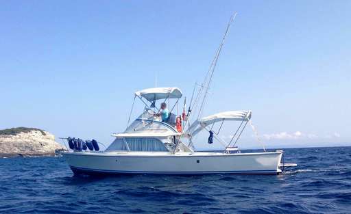 Bertram Bertram 31 sport fisherman