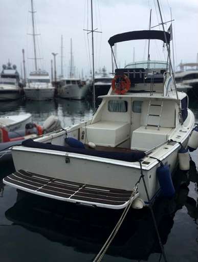 Bertram Bertram 31 sport fisherman