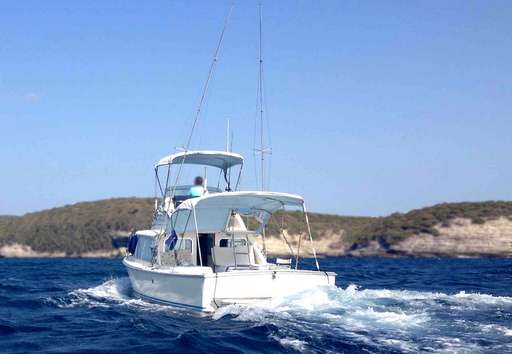 Bertram Bertram 31 sport fisherman