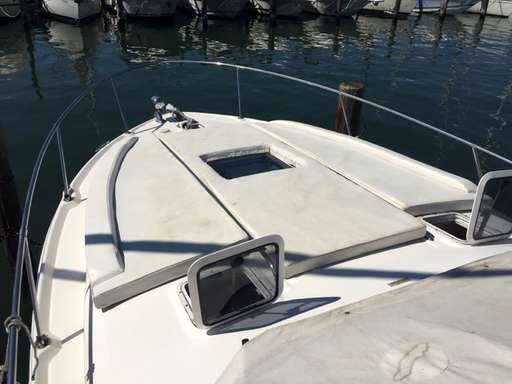 Sea Ray Sea Ray 290 da