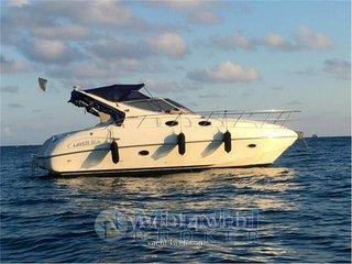 Salpa Laver 31,50 USATA