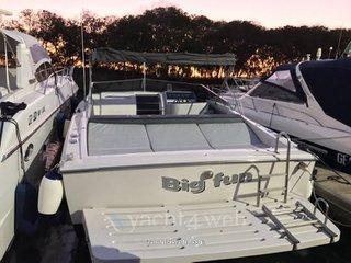 Tornado 38 classic CHARTER