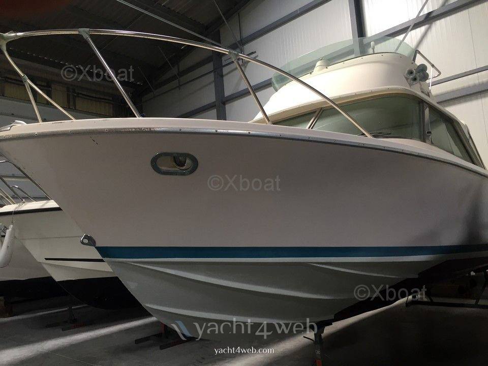 Riva Bertram 25 sport fisherman Iate a motor