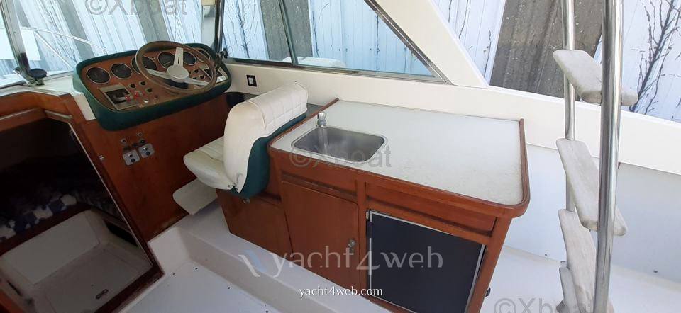 Riva Bertram 25 sport fisherman usado