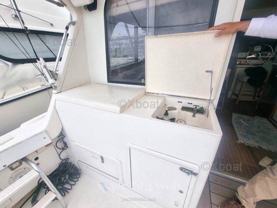 Blackfin 38 convertible