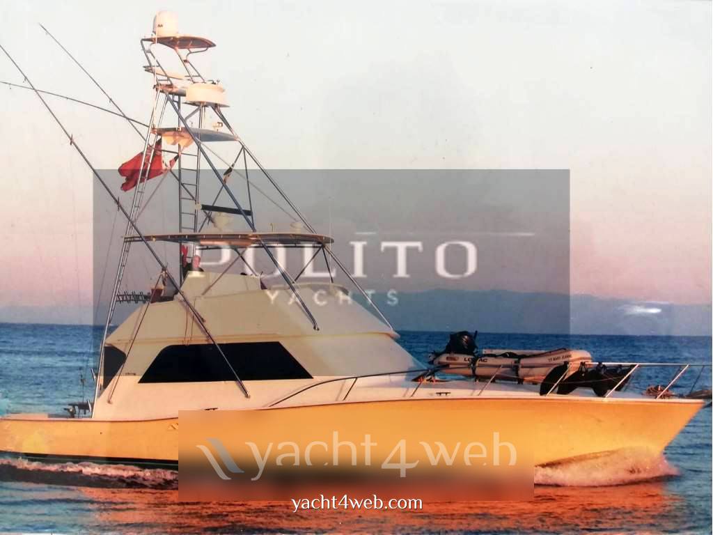 Viking yacht company Viking 51 机动船 用于销售