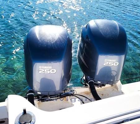 Pro-line 32 express Crucero de día usado