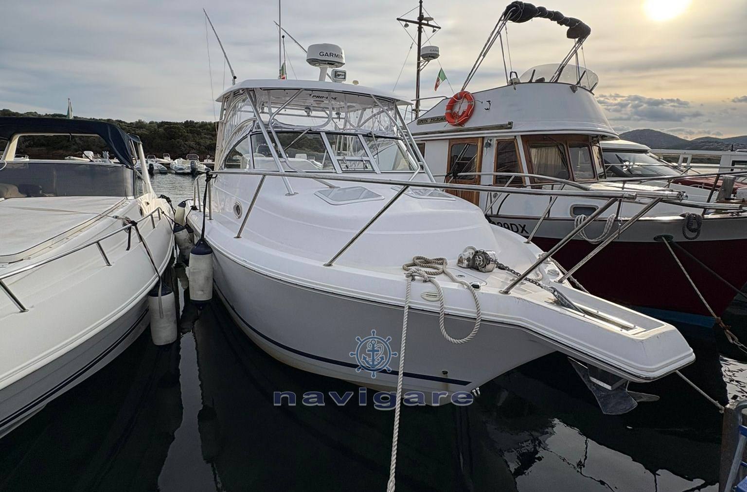 Pro-line 32 express Crucero de día