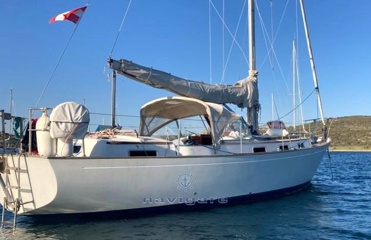 Trintella 3 Cruiser