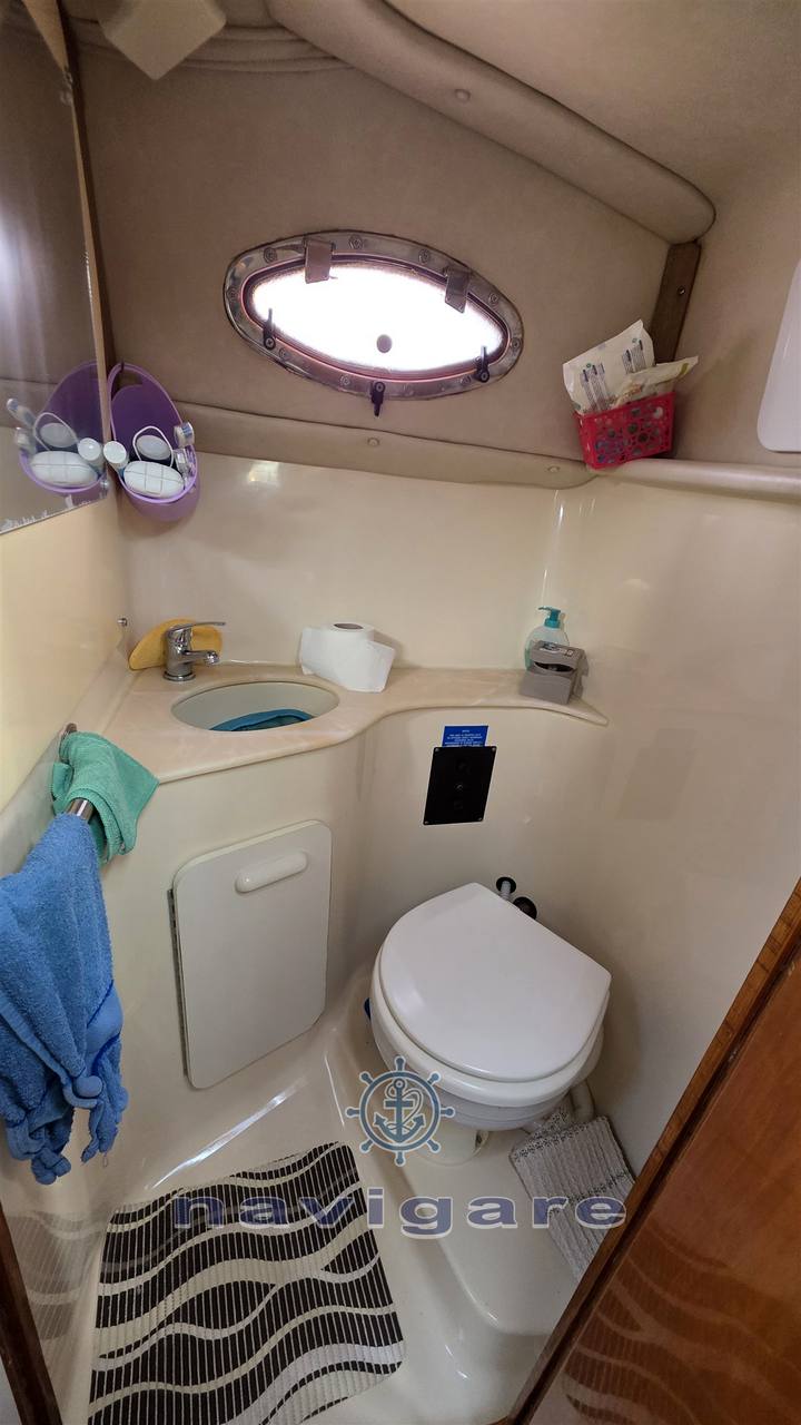 Sea ray 250 sundancer Open usato