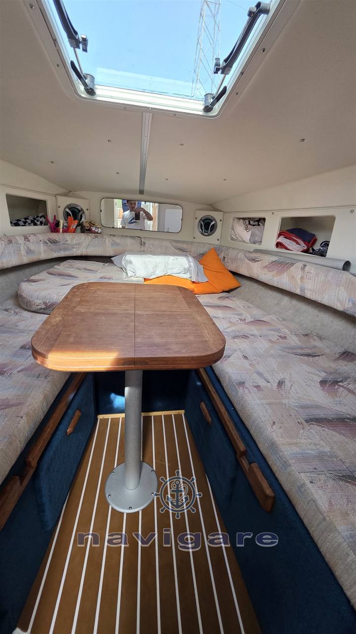 Sea ray 250 sundancer