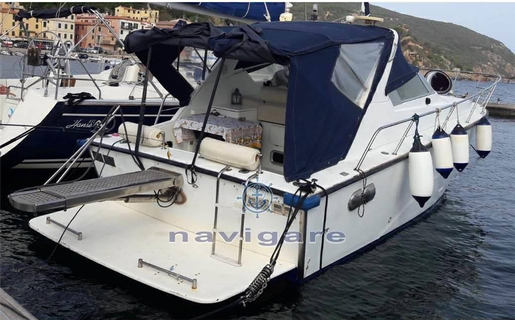 Fiart mare Aster 31