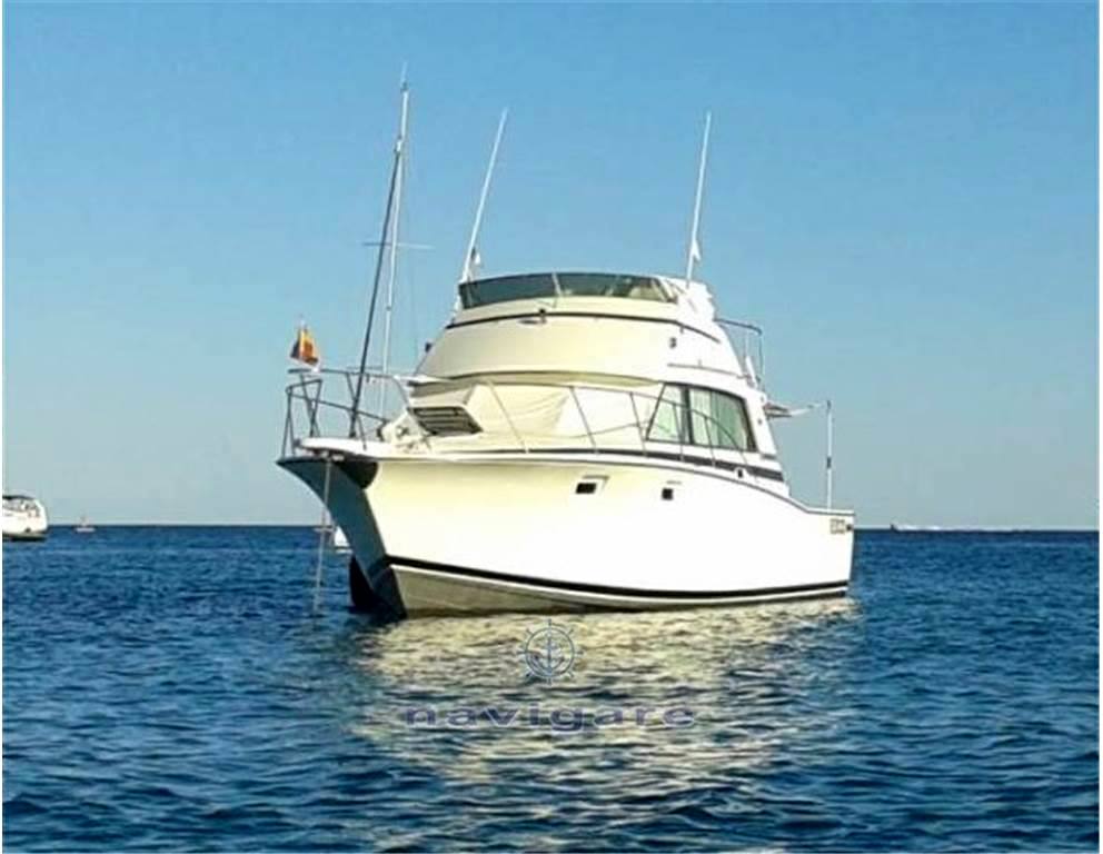 Bertram yacht 38' sport fish mk 3 bateau à moteur