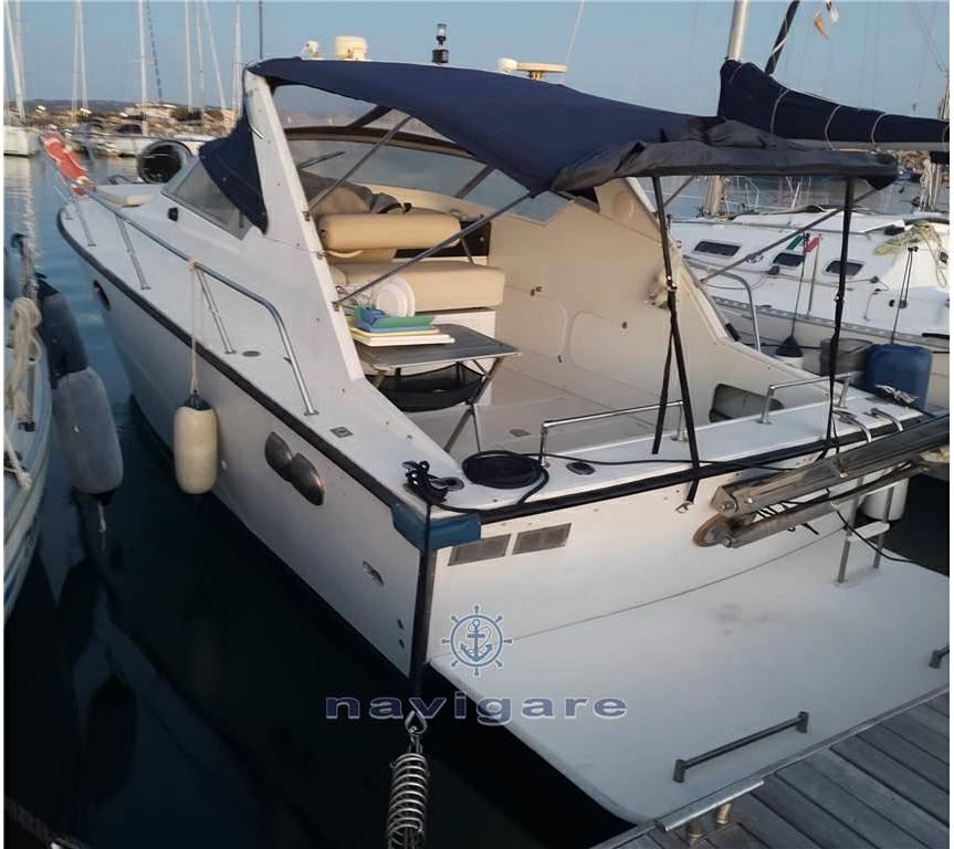 Fiart mare Aster 31 