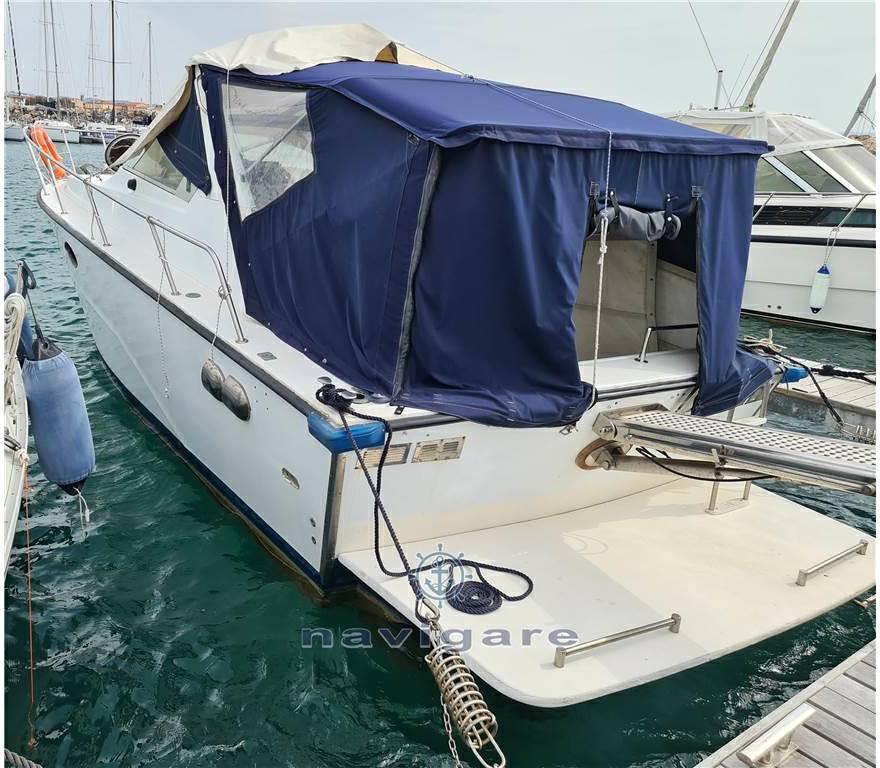 Fiart mare Aster 31 